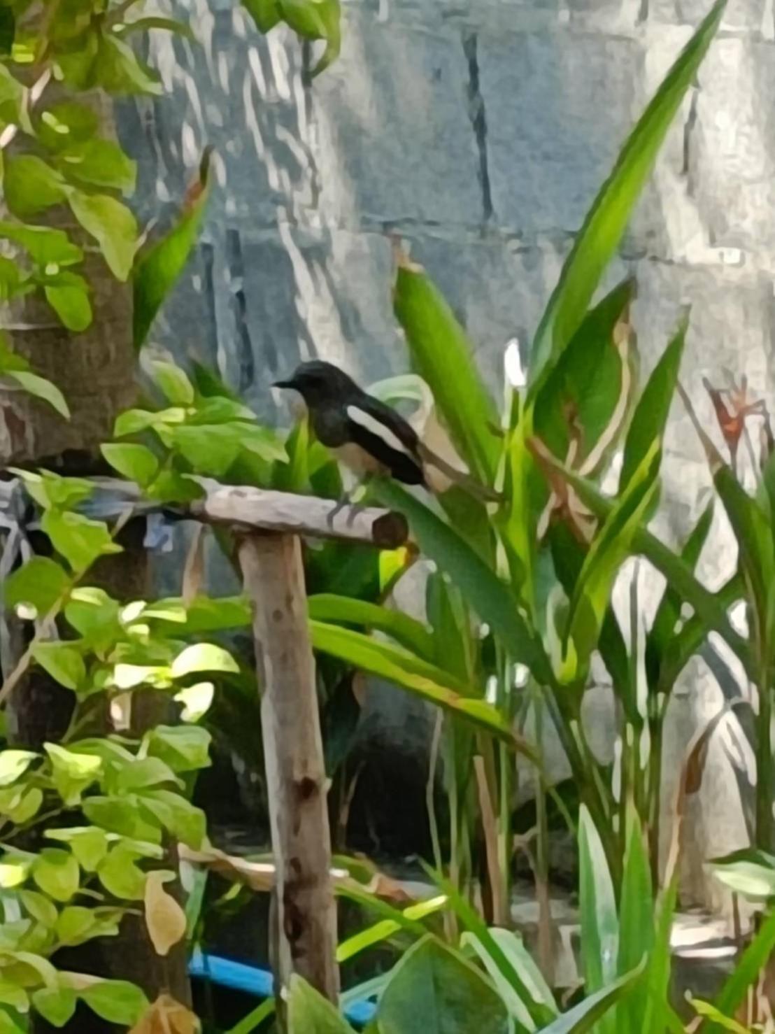 Baan Debtida Hotel Bangkok Buitenkant foto