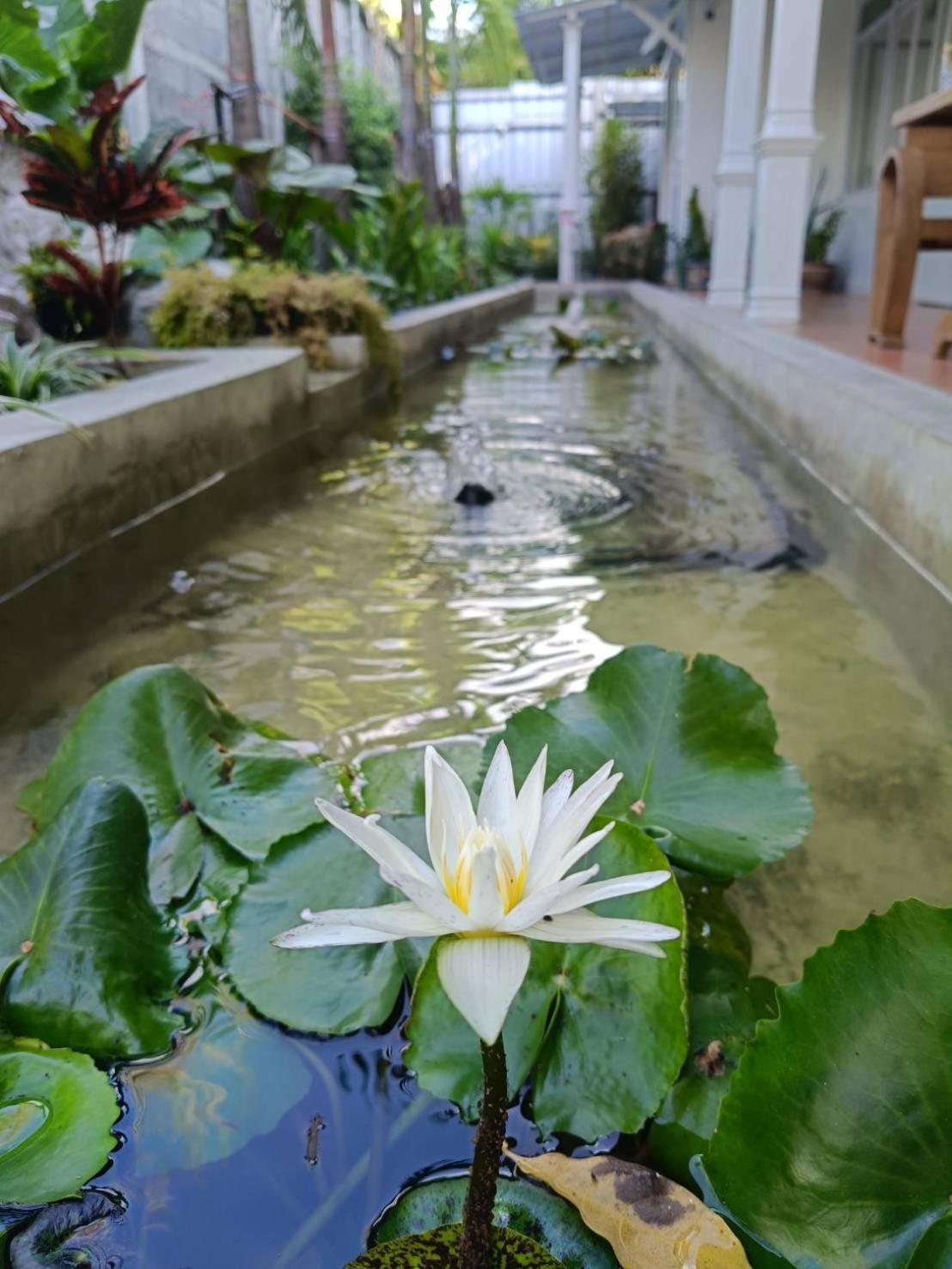 Baan Debtida Hotel Bangkok Buitenkant foto